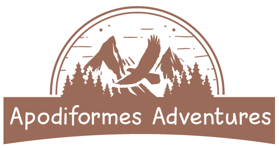 Apodiformes Adventures