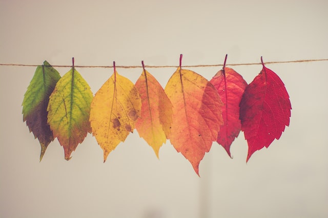 Using Color Strategically in Website Design