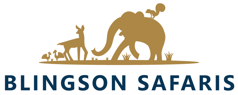 Blingson Safaris