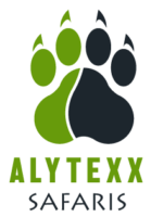 Alytexx Safaris