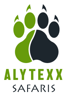 Alytexx Safaris