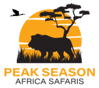 Peak Season Africa Safaris
