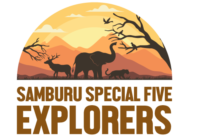 Samburu Special Five Explorers