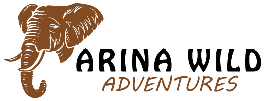 Arina Wild Adventures